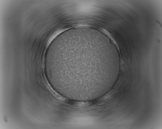 X0000101481195200807211352