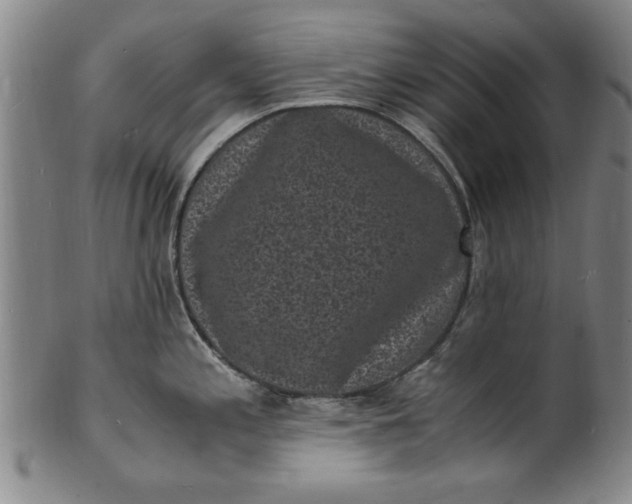 X0000101481197200807211352