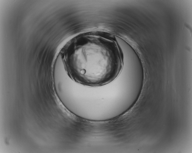 X0000101481200200807211352