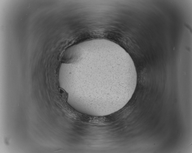 X0000101481201200807211351