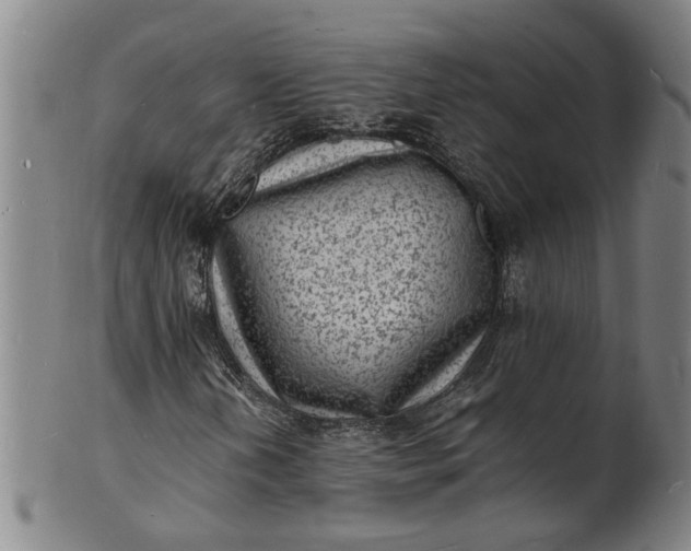 X0000101481202200807211351