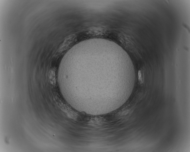 X0000101481203200807211351