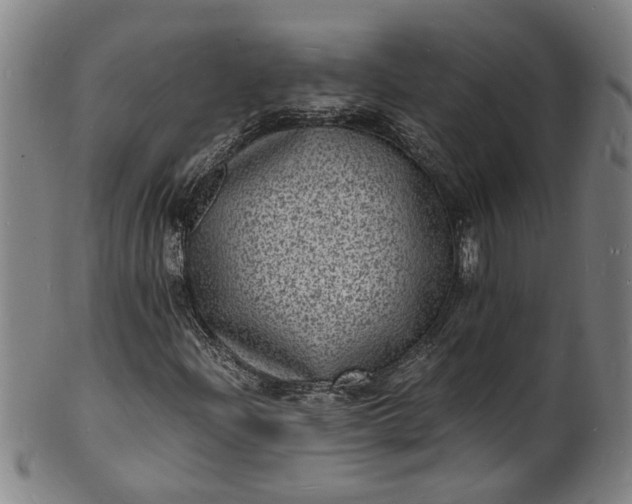 X0000101481204200807211351