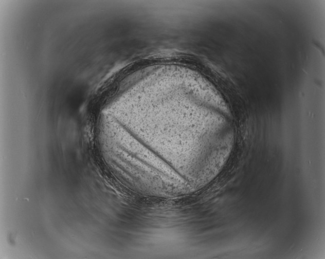 X0000101481206200807211351