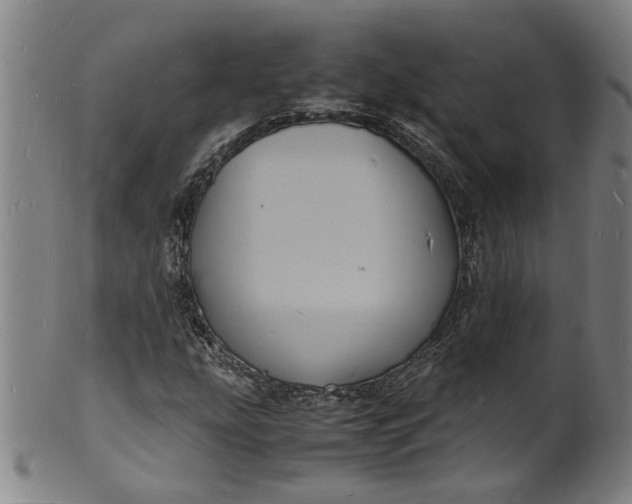 X0000101481207200807211351