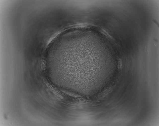 X0000101481208200807211351