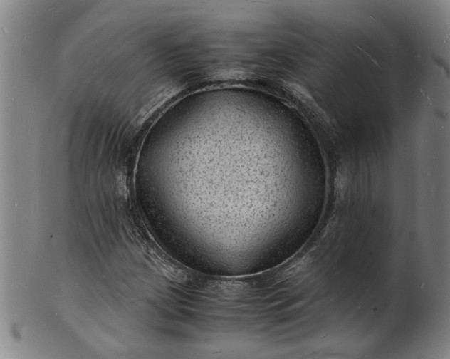 X0000101481209200807211351