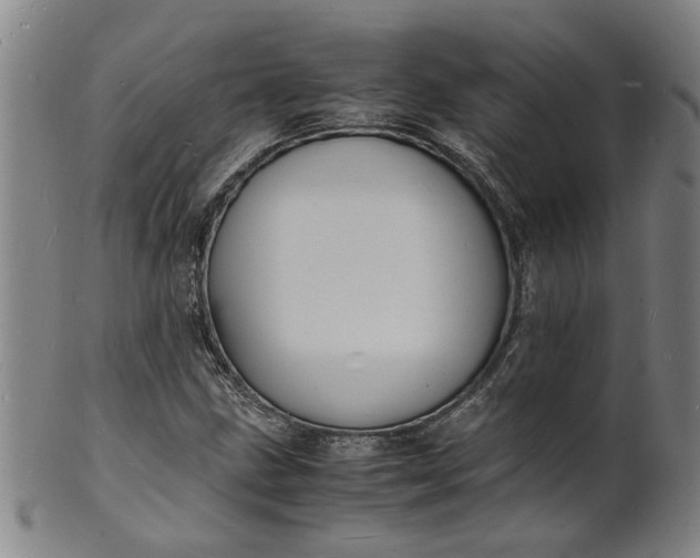 X0000101481211200807211351