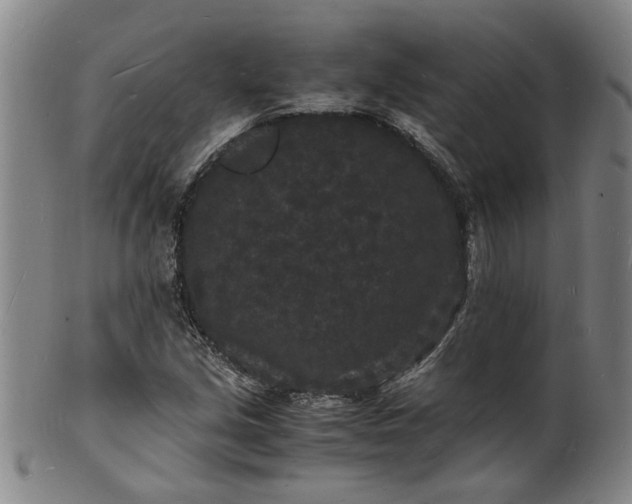 X0000101481213200807211351