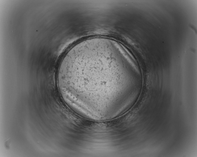 X0000101481214200807211351