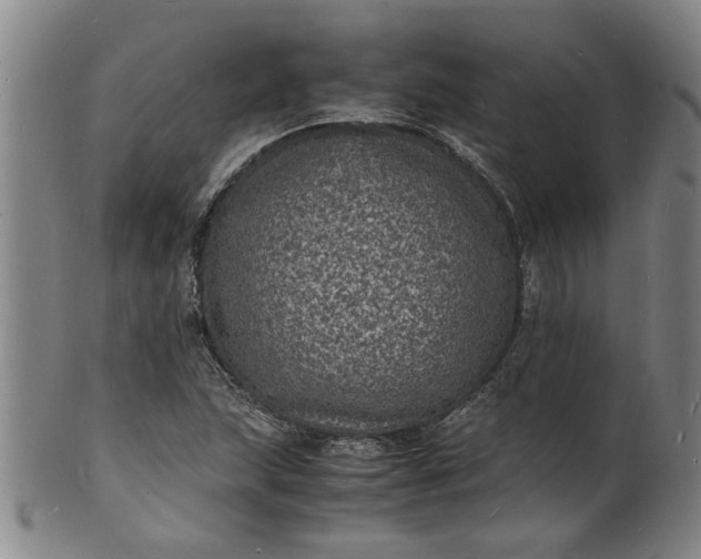 X0000101481215200807211351