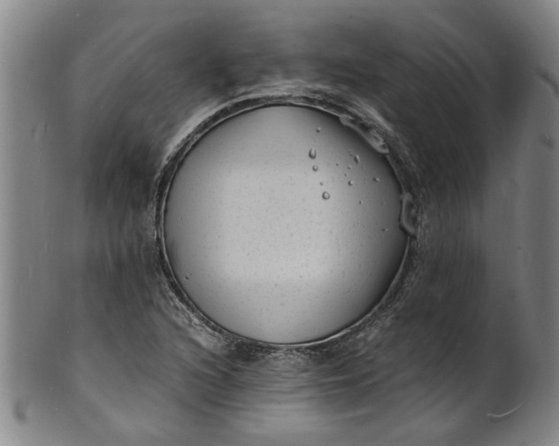 X0000101481216200807211351