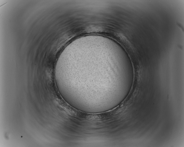 X0000101481217200807211351