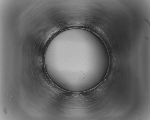 X0000101481218200807211351