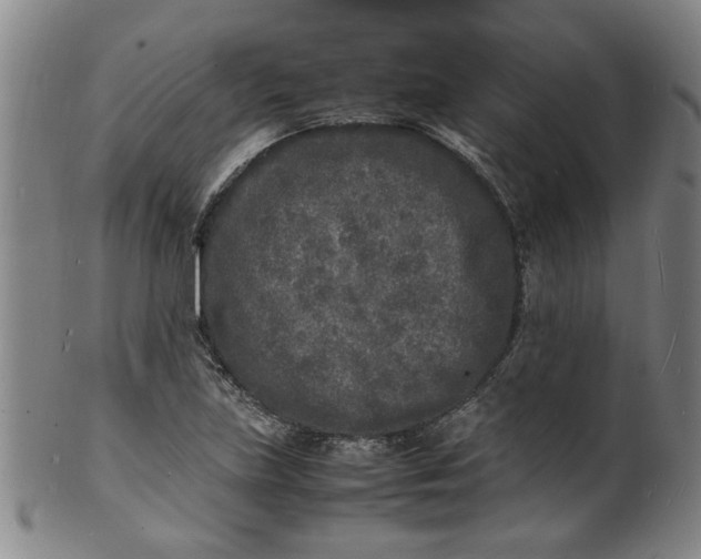 X0000101481219200807211351