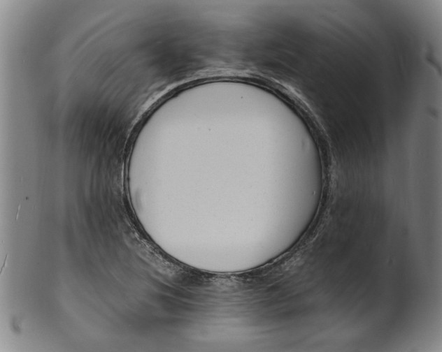 X0000101481220200807211351