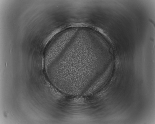 X0000101481221200807211351