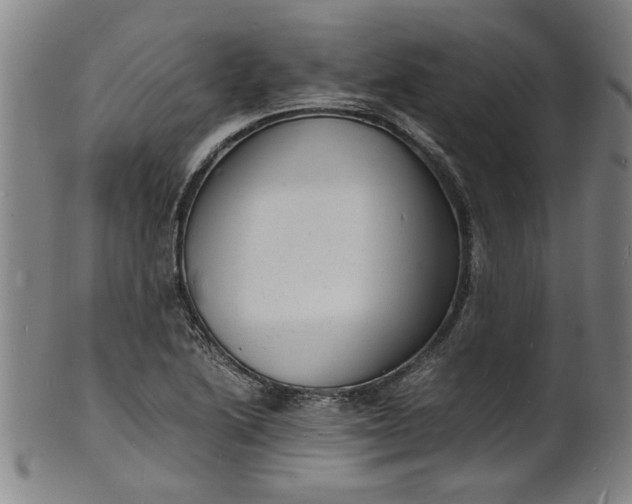 X0000101481222200807211351