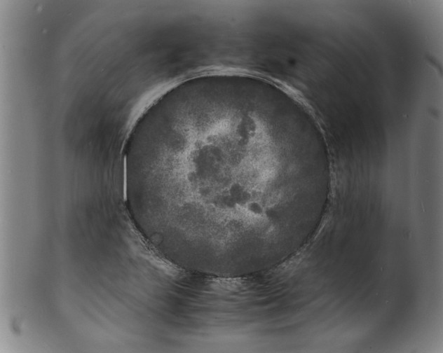 X0000101481223200807211351