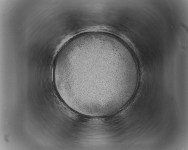 X0000101481224200807211351