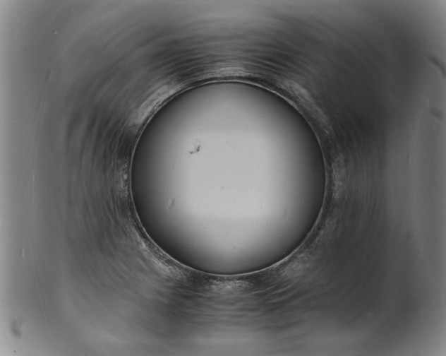 X0000101481225200807211351