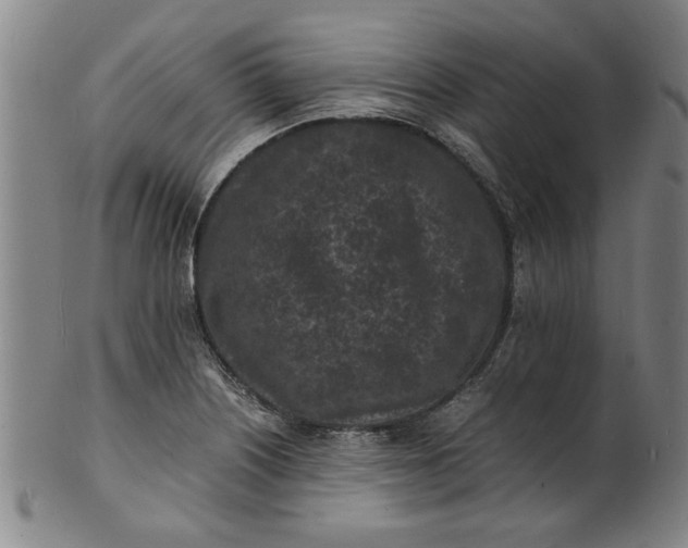 X0000101481226200807211351