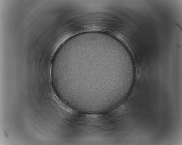 X0000101481227200807211351