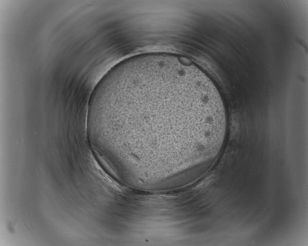 X0000101481228200807211351