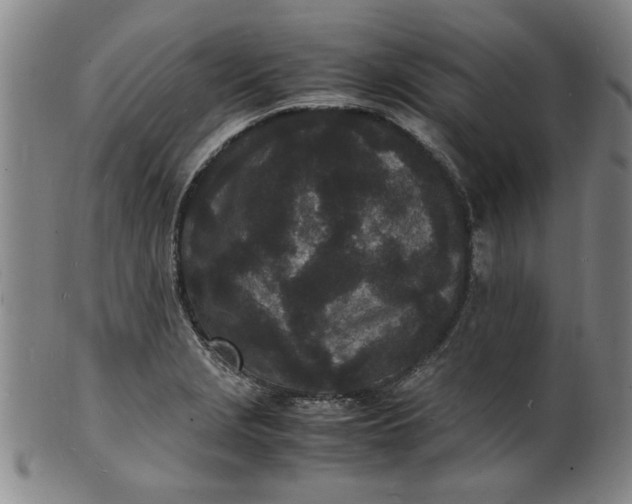 X0000101481229200807211351