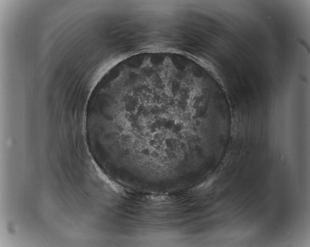 X0000101481231200807211351