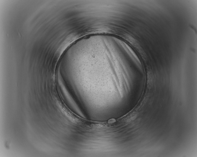 X0000101481234200807211351