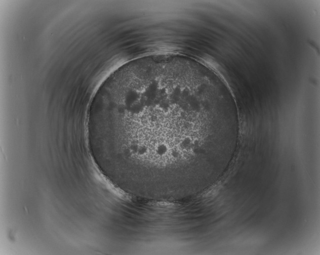 X0000101481235200807211351