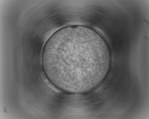 X0000101481236200807211351