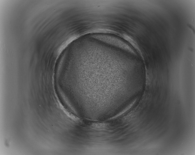 X0000101481237200807211351