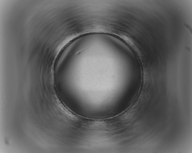 X0000101481238200807211351