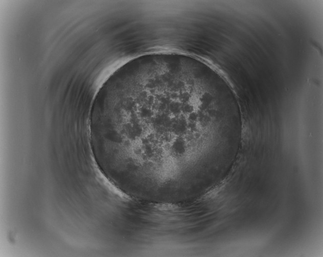 X0000101481239200807211351