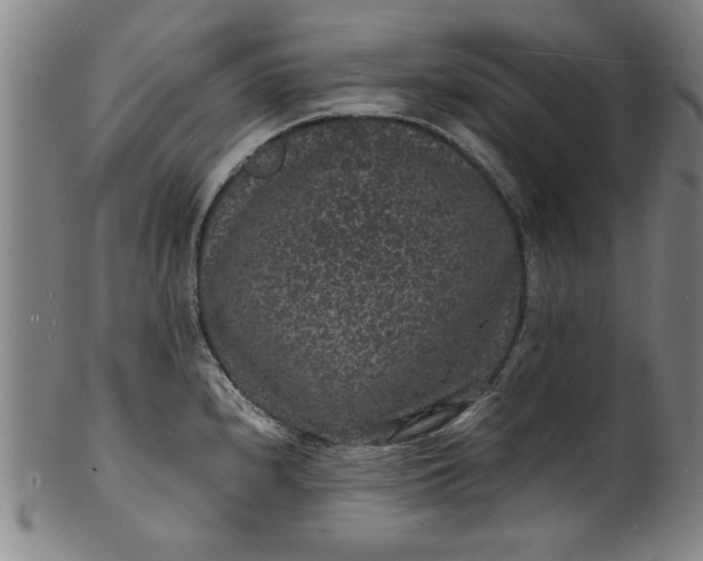 X0000101481240200807211351