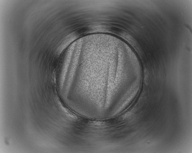 X0000101481241200807211352