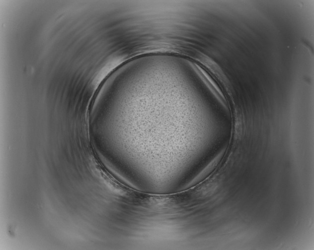 X0000101481242200807211352