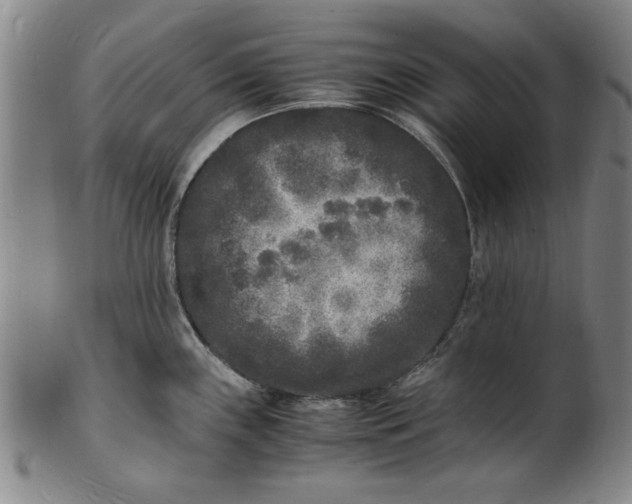 X0000101481243200807211352