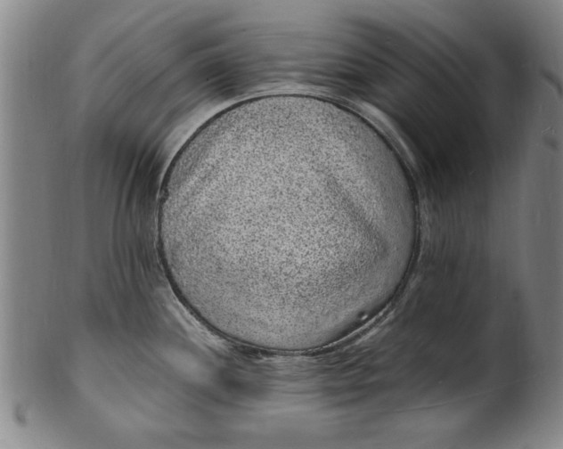 X0000101481244200807211352