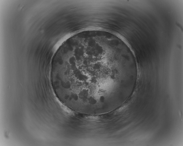 X0000101481245200807211352