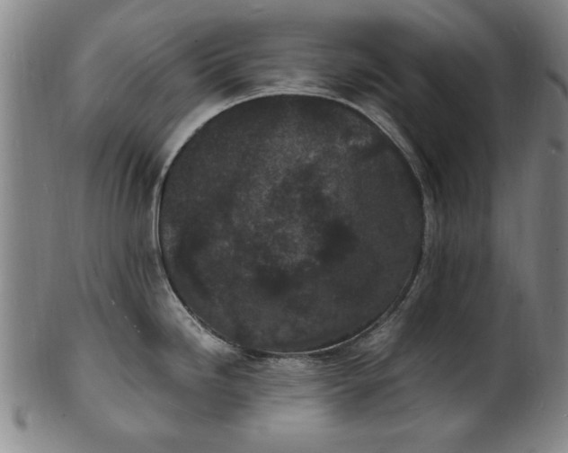 X0000101481246200807211352