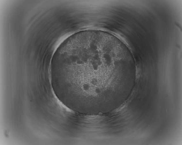 X0000101481247200807211352