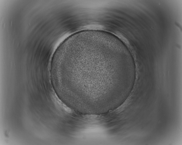 X0000101481248200807211352