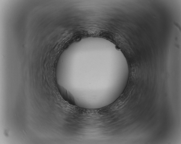 X0000101481249200807211351