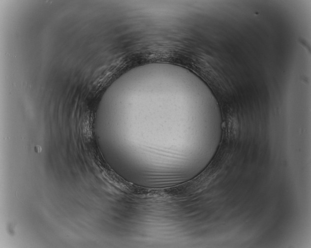 X0000101481250200807211351