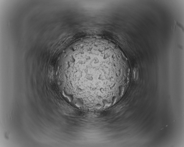 X0000101481251200807211351