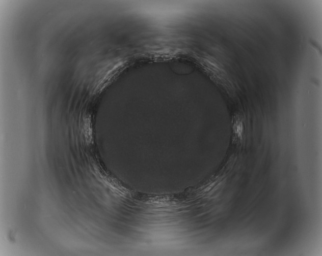 X0000101481252200807211351