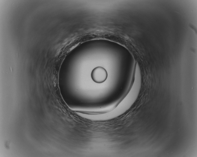 X0000101481253200807211351